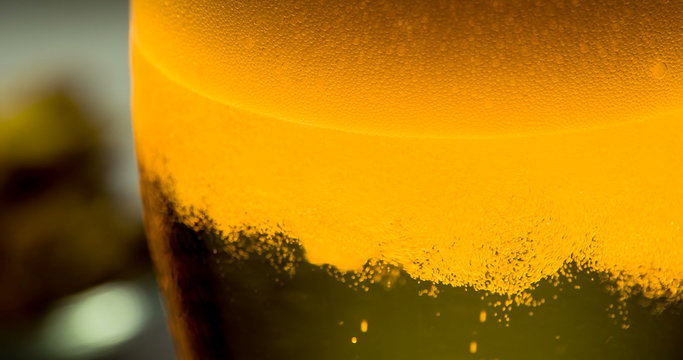 A Glass of Amber Beer