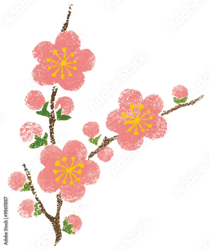 手描き正月イラスト 梅 Stock Photo And Royalty Free Images On