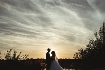 happy bride and  elegant groom  looking at the amazing sunset on a background of beautiful sunny lake and sand