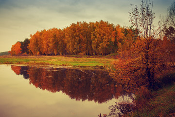 Autumn landscape with lake