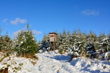 Hochsitz im Winterwald