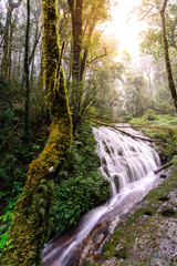 Beautiful waterfall in deep forest in Chiang Mai, Thailand.