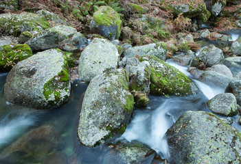 Brook and big rocks with moss