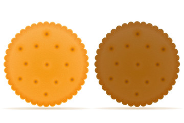 crispy biscuit cookie vector illustration