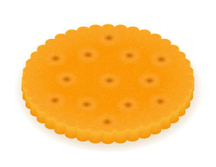 crispy biscuit cookie vector illustration