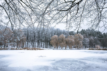 Winter beautiful day in park near frozen lake
