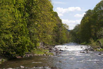 Die Dreisam in Freiburg