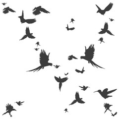 Silhouetten von Vögeln