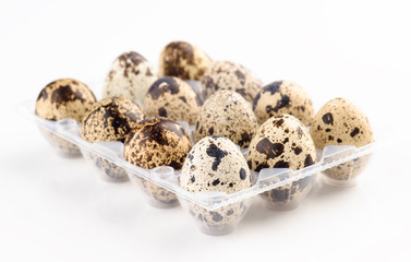 blister fresh quail eggs