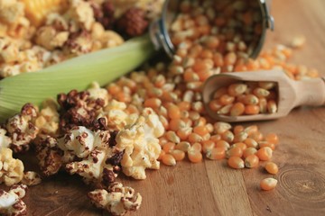 Corn and dried seeds