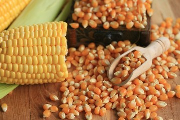Corn and dried seeds