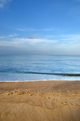 Beautiful beach with blue sky at Mai khao beach, Phuket, Thailand..