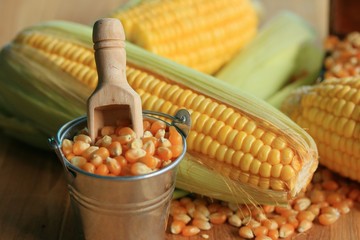 Corn and dried seeds