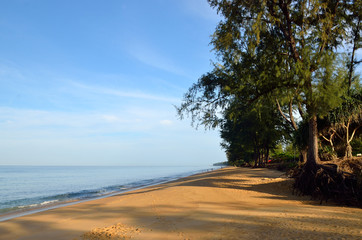 Fototapeta na wymiar Beautiful beach with blue sky at Mai khao beach, Phuket, Thailand..