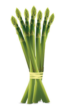 Asparagus for proper nutrition