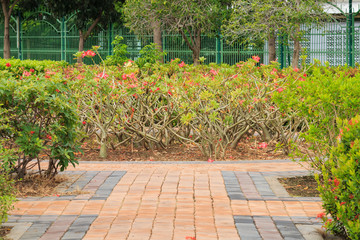 Walkway in the garden public park