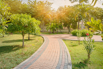 Brick block jogging track in the garden with sunlight