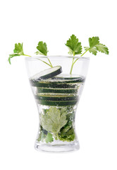 Soda water with parsley and cucumber