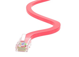 wire rj-45 on a white background, isolated