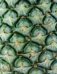 Fototapeta premium pineapple shell