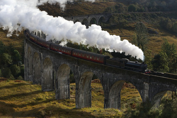 Steam locomotive on railway road bridge
