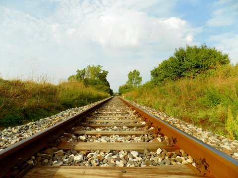 Railroad in nature