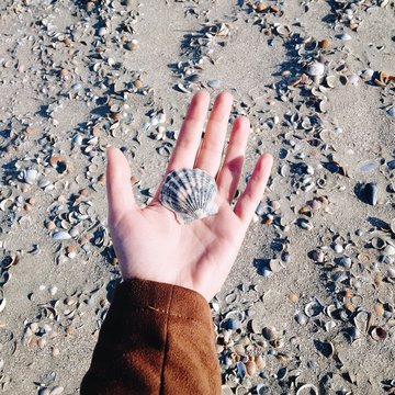 Woman's hand holding a seashell at the beach, Constanta, Romania