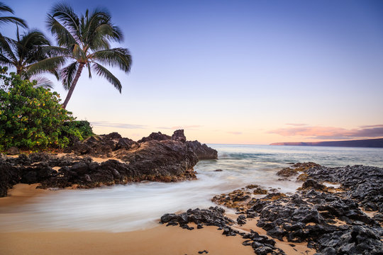 Palm trees on a tropical rocky beach, Makena Cove (Secret Beach), Maui, Hawaii, USA