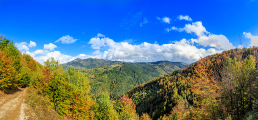 Forest hills in autumn