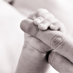 baby gripping the finger of an adult, in black and white