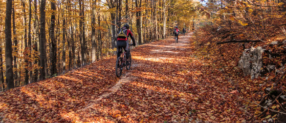 Riding bicycle through country roads in autumn