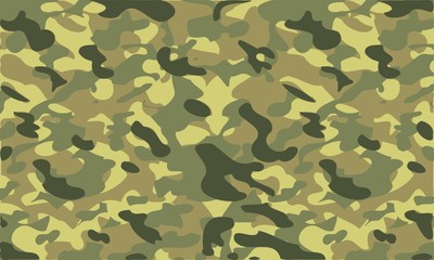 Fototapeta premium Camouflage Tarnfarbe