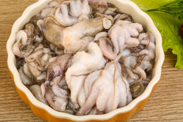 Raw baby octopus