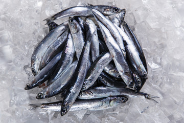 fresh raw fish anchovy on ice seafood