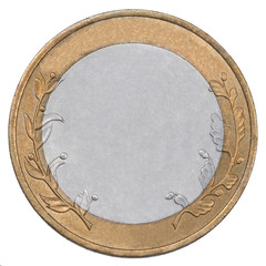 russian rubles coin