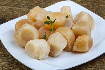 Raw scallops