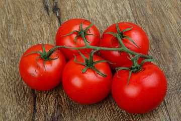 Tomatoes on the branch