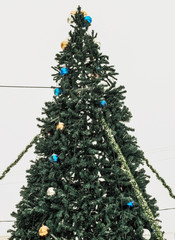 Новогодняя ёлка в ненастную погоду © domnichvlad