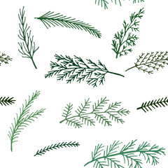 seamless  New Year and winter pattern  background spruce twigs on a white background