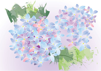 Hydrangea flower ,pink color for card vector illustration