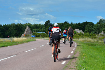 group of cyclists going on the road in the countryside
