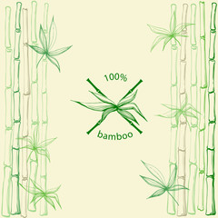 Hand drawn bamboo leaves with crossed stems