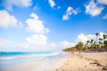 Coastal Caribbean landscape. Sandy beach view