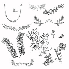 hand drawing floral leaf ornament vector sketch flower illustration
