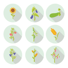 Obraz premium crops flat icons