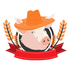 pig in vector format