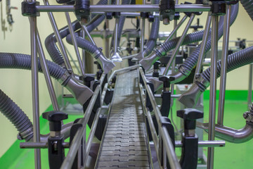 Assembly line in a nut packaging factory