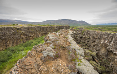 The Mid Atlantic Ridge dividing Europe from America, cropping ou