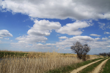 Fototapeta premium Autumn road, disappearing into the sky
