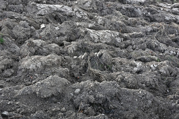 Arable land